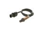 Oxygen Sensor -
