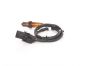 Oxygen Sensor -