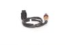 Oxygen Sensor -