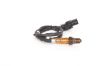 Oxygen Sensor -