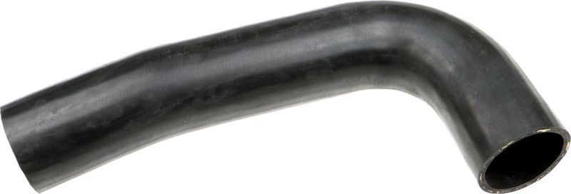 Radiator Hose -