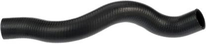 Radiator Hose -