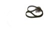Timing Belt Kit -