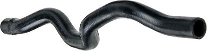 Heater Hose -
