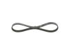 V-Ribbed Belt -