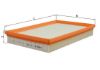 Air Filter GENERAL MOTORS - 25062418