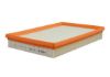 Air Filter GENERAL MOTORS - 25062418
