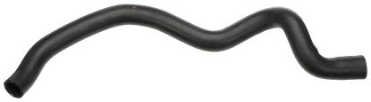 Radiator Hose -