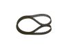 Timing Belt -
