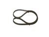 Timing Belt -