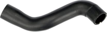 Radiator Hose -