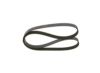 V-Ribbed Belt PSA - 98 111 095 80 - 6PK1230
