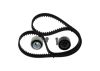 Timing Belt Kit -