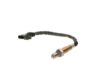 Oxygen Sensor -