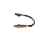 Oxygen Sensor -
