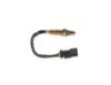 Oxygen Sensor -
