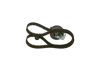 Timing Belt Kit -