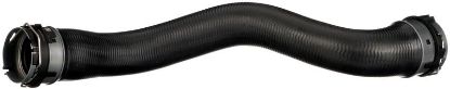 Radiator Hose -