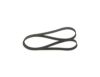 V-Ribbed Belt -