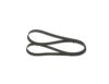 V-Ribbed Belt -