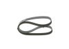 V-Ribbed Belt -