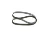 V-Ribbed Belt -
