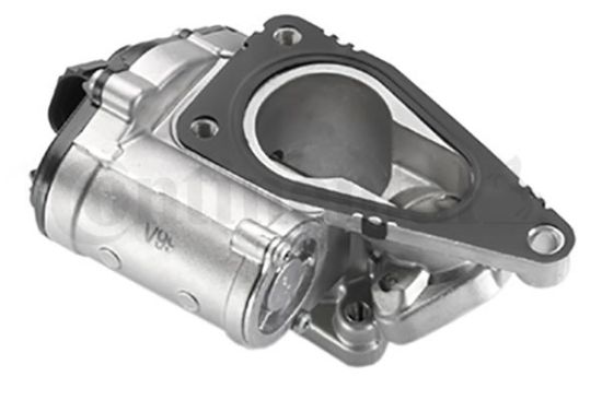 EGR Valve LAGUNA II, MEGANE II 1.9 dCi 05-