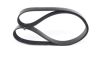 V-Ribbed Belt -
