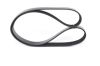 V-Ribbed Belt -