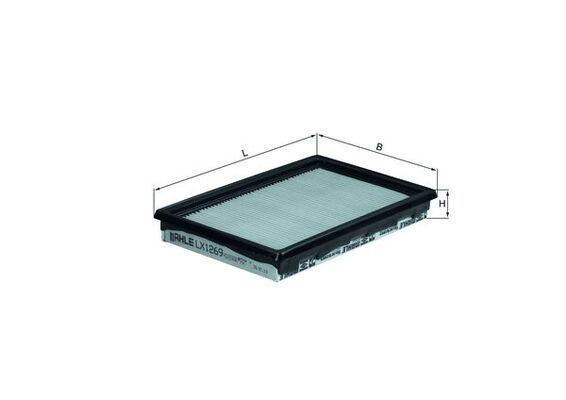 Air Filter MINI (R50, R53) Cooper S