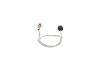 Oxygen Sensor -