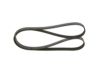 V-Ribbed Belt -