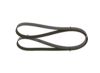 V-Ribbed Belt -