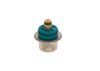 Fuel Pressure Regulator -