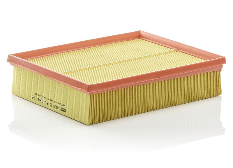 Air Filter Range Rover 2.5td,4.0,4.6