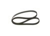 V-Ribbed Belt VAG - 038 903 137 AA - 6PK1185