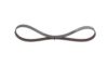 V-Ribbed Belt -