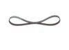 V-Ribbed Belt -