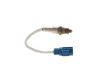 Oxygen Sensor -