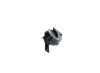 Trumpet Horn -