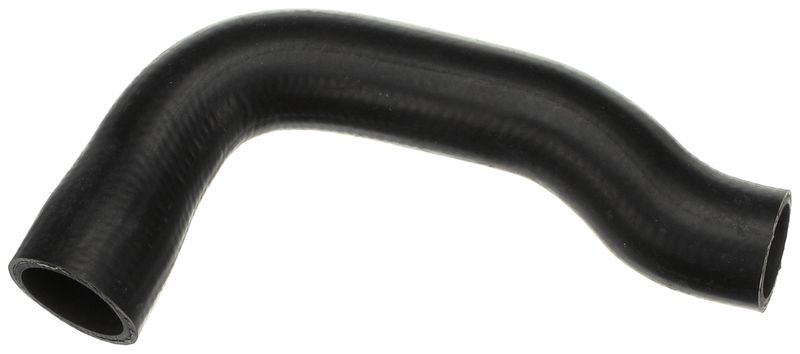 Radiator Hose -