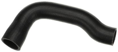 Radiator Hose -