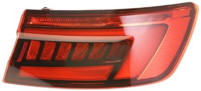 Tail Light Assembly -