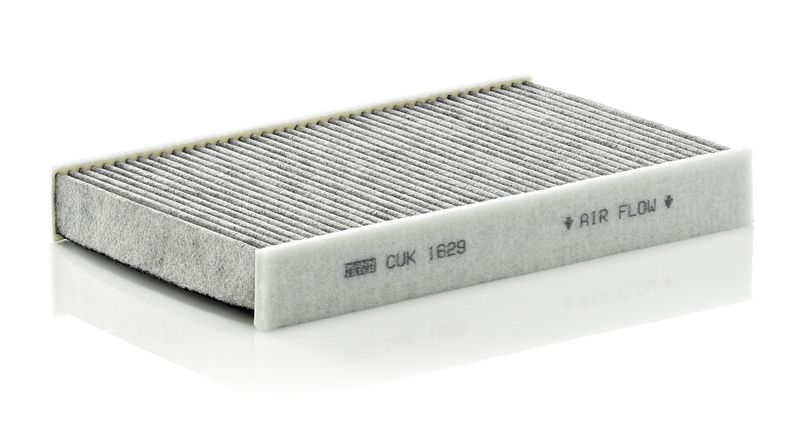 Filter, cabin air Renault Fluence 02/10-