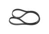 Timing Belt -
