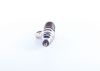 Unit Injector (UI) -