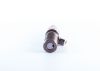 Unit Injector (UI) -