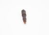 Nozzle and Holder Assembly -