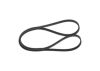 V-Ribbed Belt -