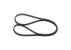 V-Ribbed Belt -